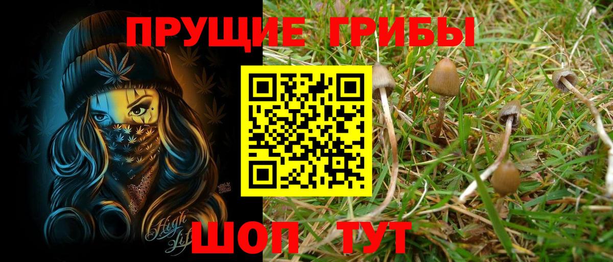 Галлюциногенные грибы мицелий  Вход с VPN  Галлюциногенные грибы Psilocybine cubensis  Знаменск 