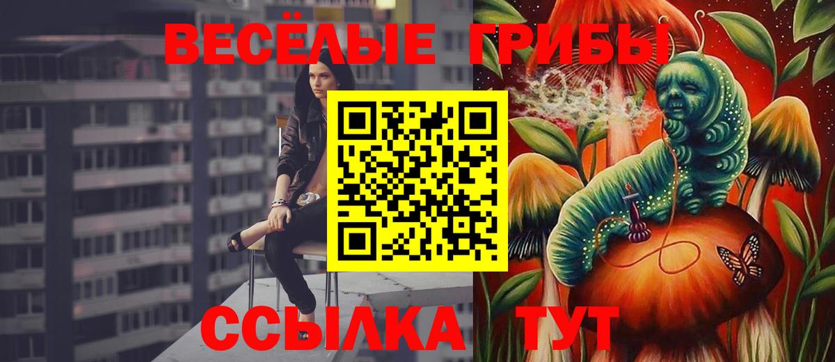 Галлюциногенные грибы Psilocybine cubensis Знаменск
